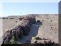 Ouest-USA_etape1 petrified_forest